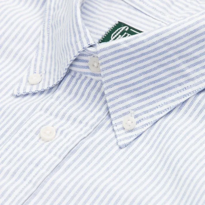 Blue Stripe Oxford - Old Fit