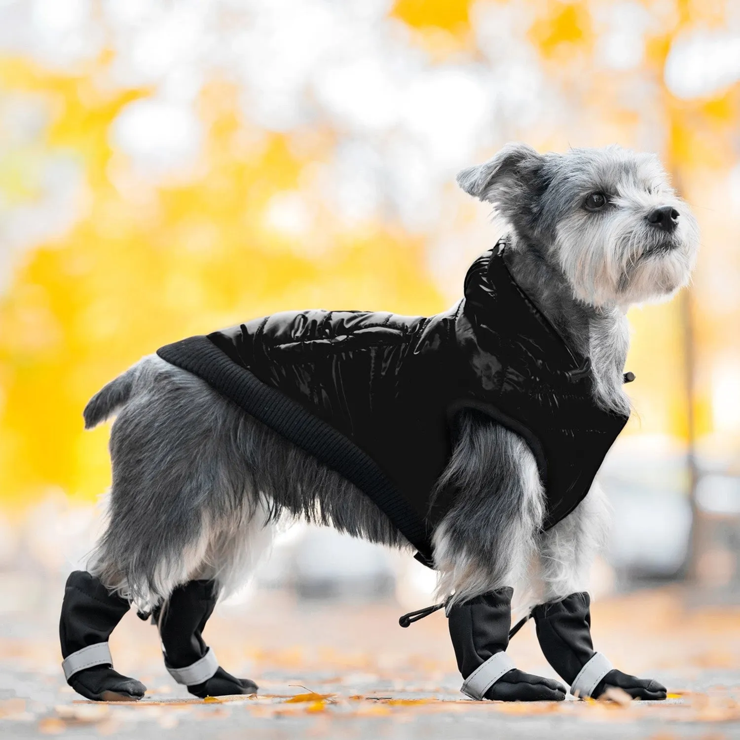 Canada Pooch Soft Shield Boots