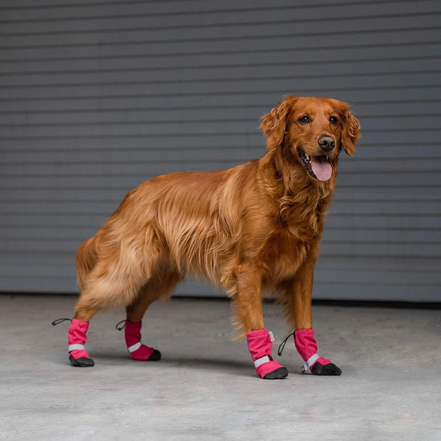 Canada Pooch Soft Shield Boots